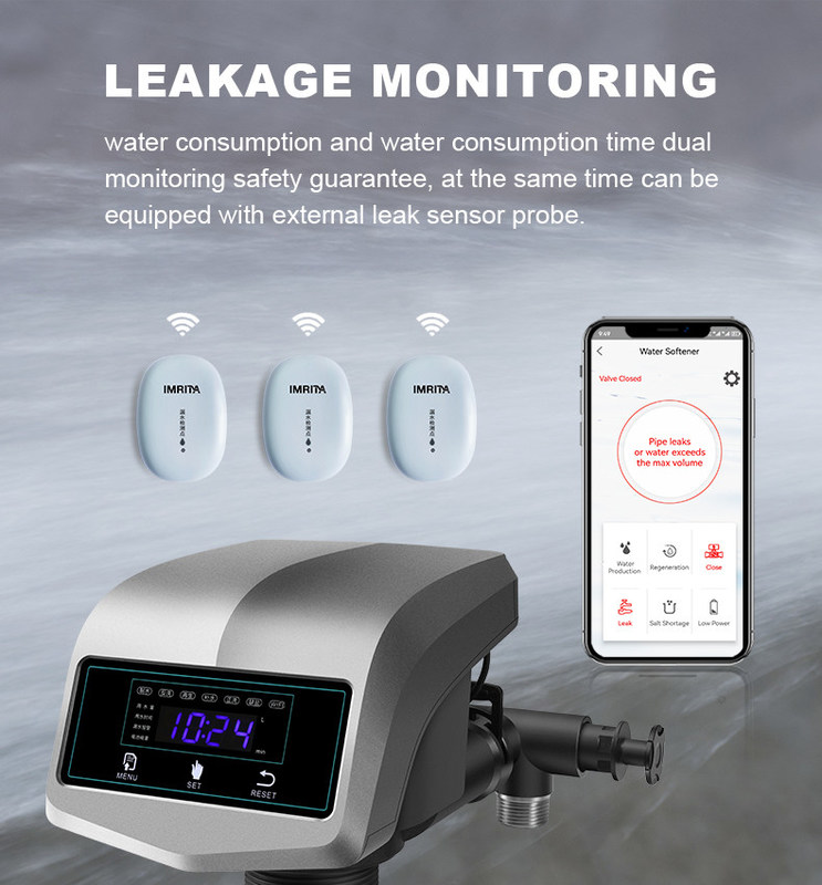 3000L/H Softening Resin Water Softener Valve Water Treatment Shower Tap Filter